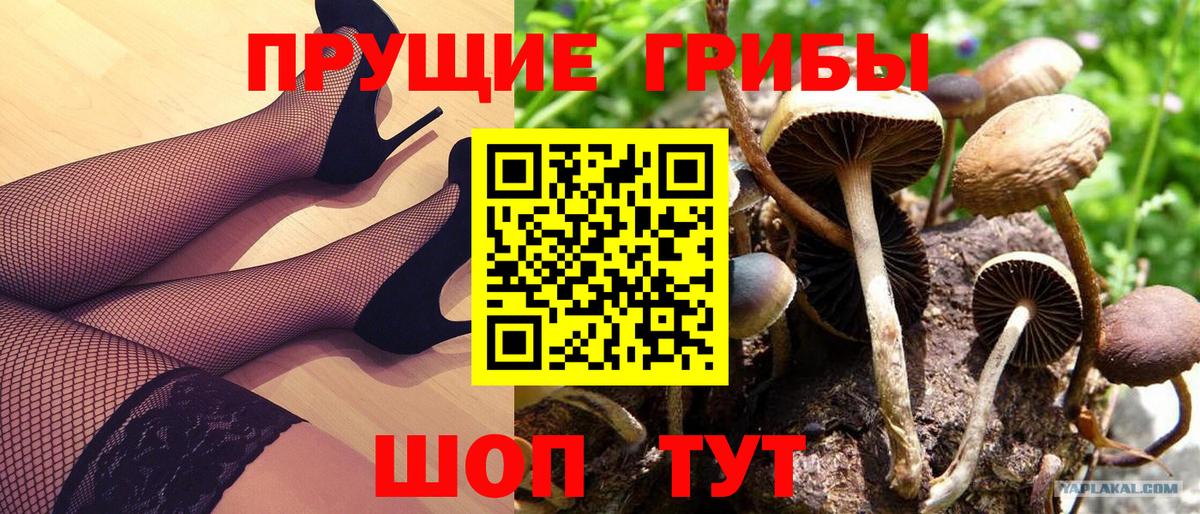 Псилоцибиновые грибы Psilocybe  Вход с VPN  Волгодонск 